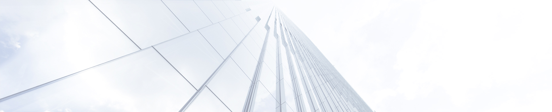 Company Profile